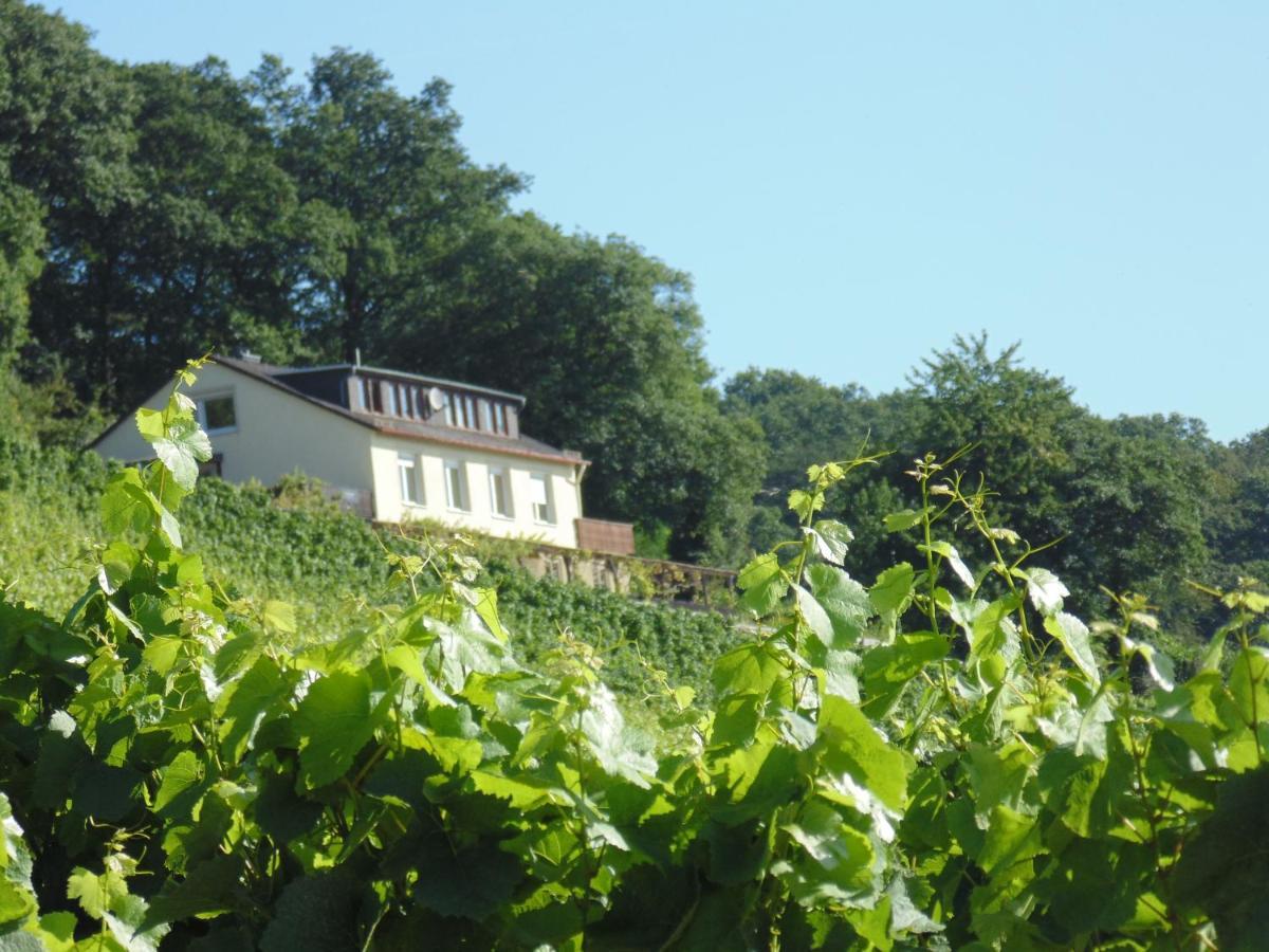 Das Rebenhaus Ruedesheim am Rhein Exterior photo