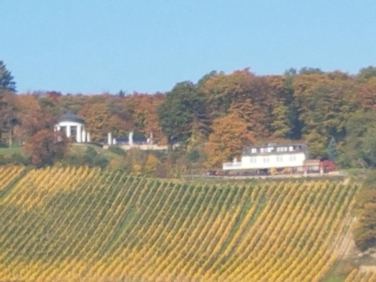 Das Rebenhaus Ruedesheim am Rhein Exterior photo