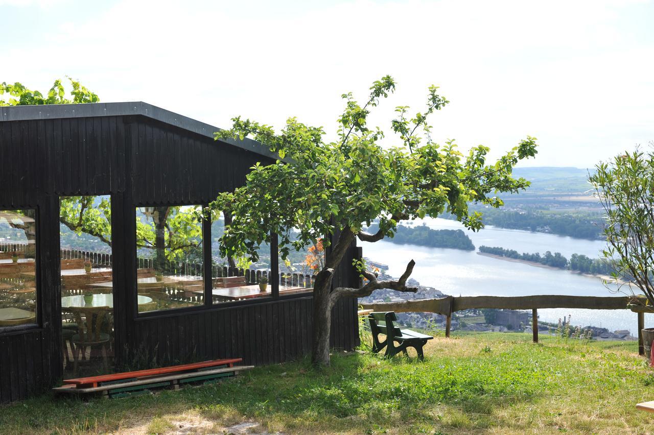 Das Rebenhaus Ruedesheim am Rhein Exterior photo